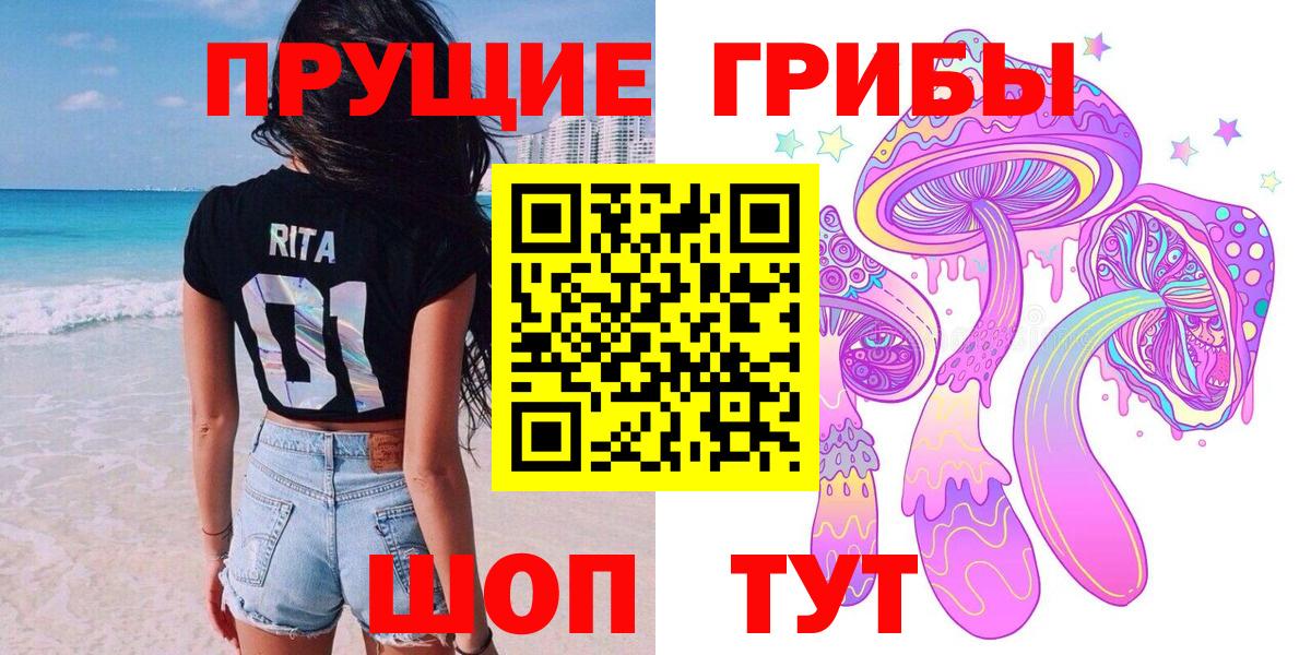 Псилоцибиновые грибы Cubensis Назарово