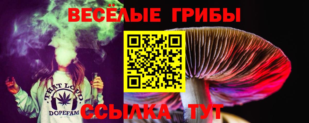 Галлюциногенные грибы Psilocybe  Вход с VPN  Назарово  Галлюциногенные грибы мухоморы 